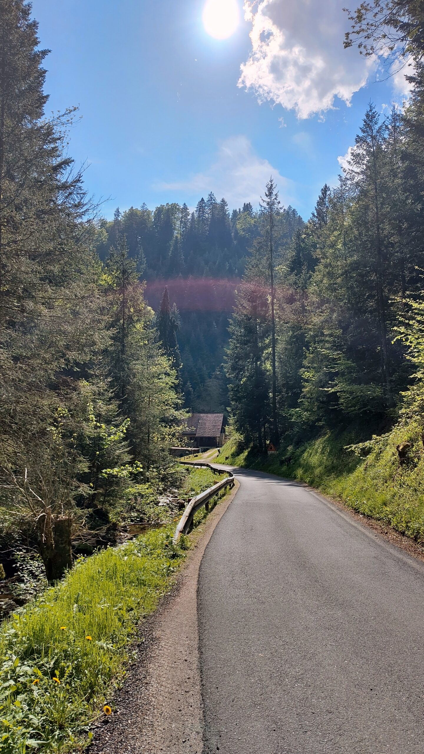 Schmale asphaltierte Waldstraße im Pohorje-Gebirge mit Sonnenstrahlen durch die Baumwipfel